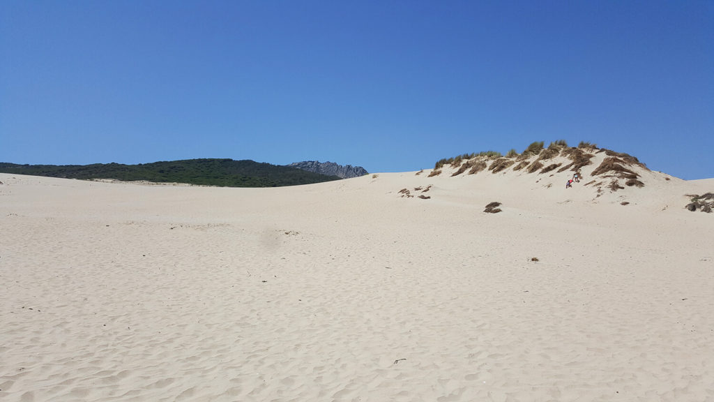 Sand dunes between Punta Paloma and Valdevaqueros in Tarifa