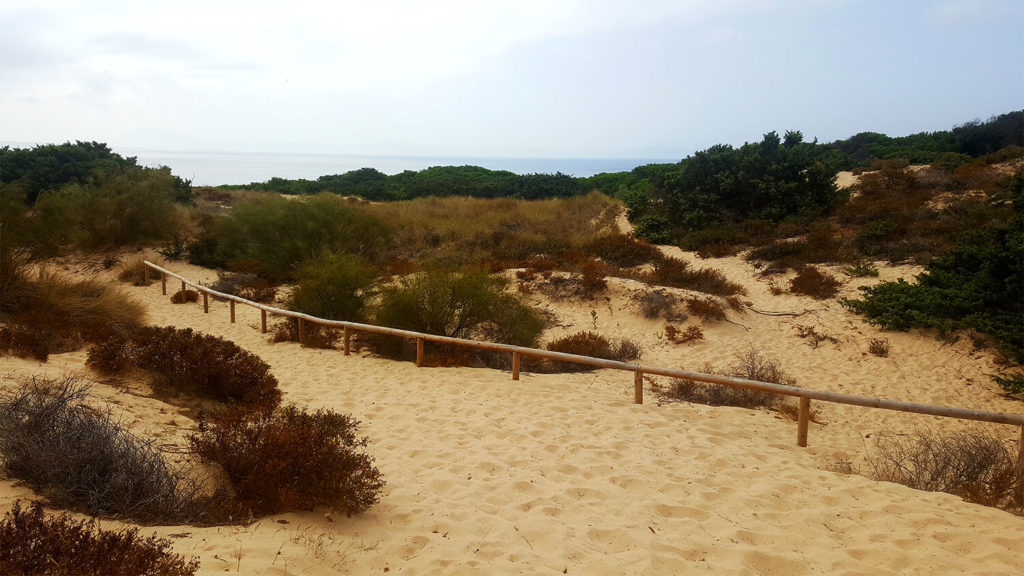 how to get to Punta paloma - walking through sand dunes