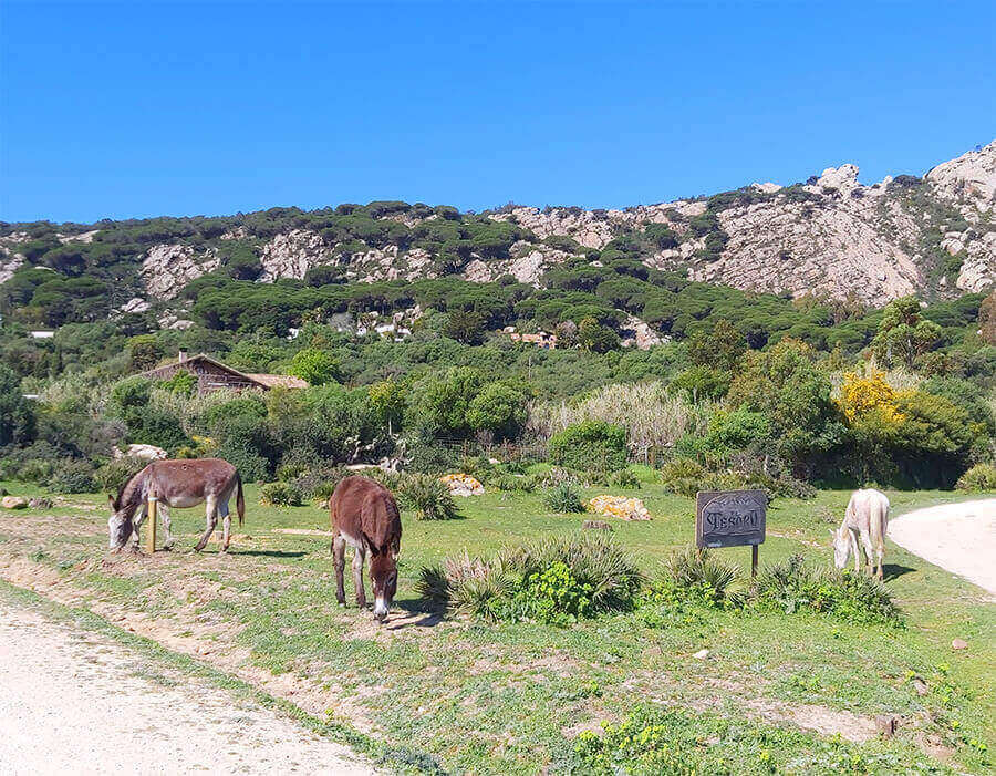 Countryside of Tarifa, Andalusia
