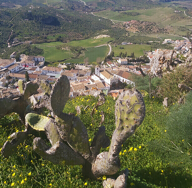Granada's countryside