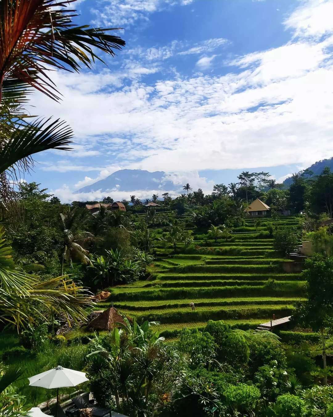 An amazing views to rice fields from Abian Ayu Villa, Sidemen, Bali