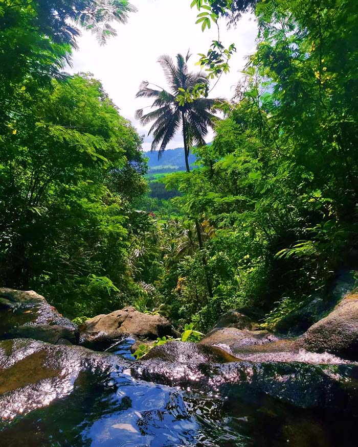 Stunning views to the jingle from the Gembleng waterfall in Sidemen.