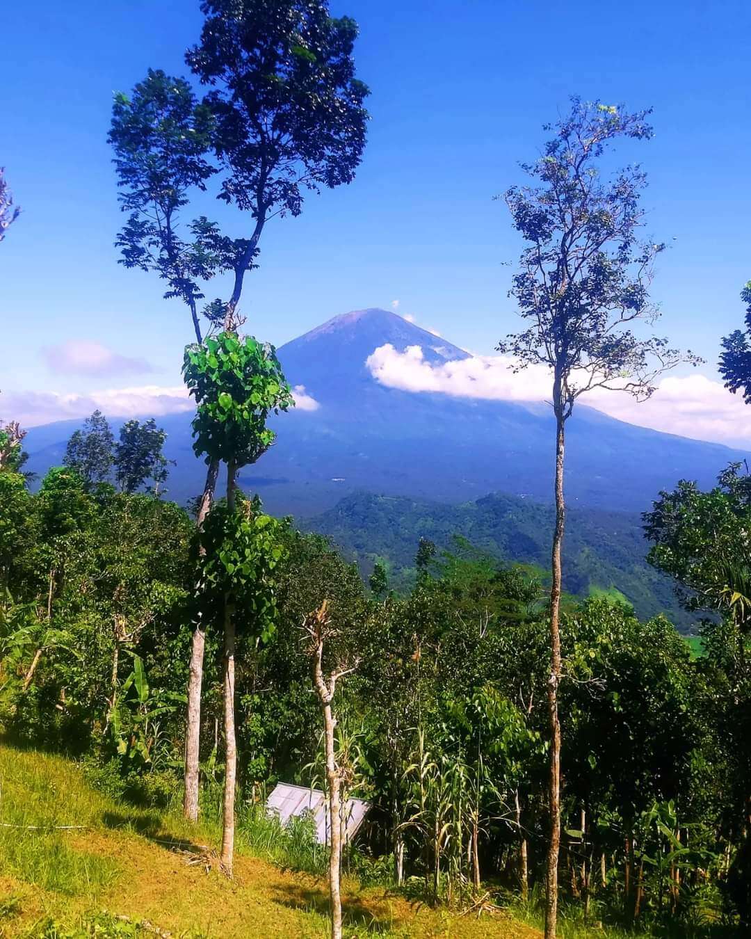 A beautiful view to Mount Batur in Bali