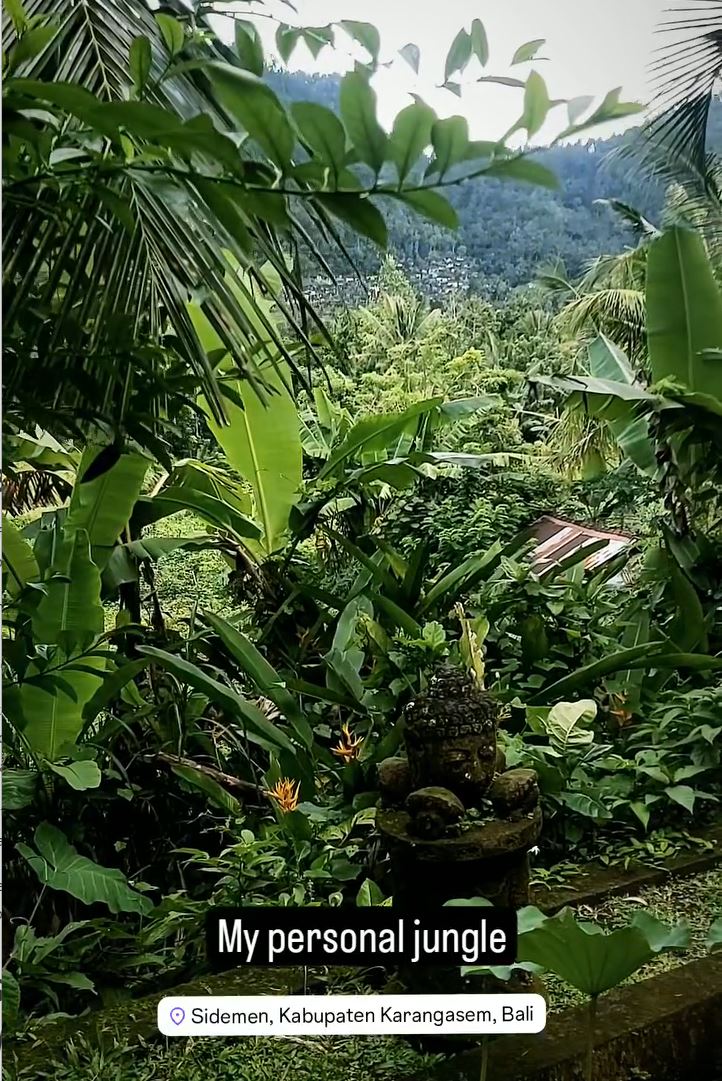 Accommodation in Sidemen overed by bushes and jungle