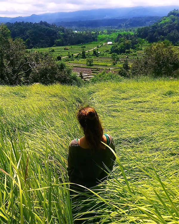 Beuatiful rice fields in the middle of nowhere, close to Sideman, Bali